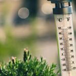 bokeh photography of thermometer on plant