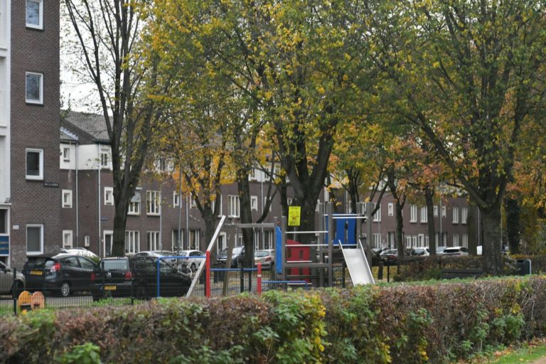 A park with a playground in the middle of it